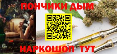 индика Рузаевка