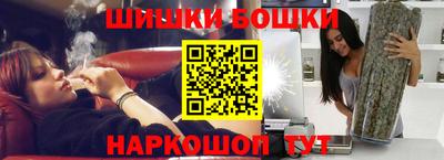 индика Рузаевка